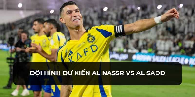 Tổng quan về các cầu thủ ra sân thi đấu trong trận Al Nassr vs Al Sadd